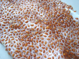 Comment Obtenir Des Pousses De Cresson Food Vegan Recipes Bread
