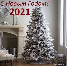 Изображения с символом 2021 года быка, фото, плакаты на новый год. Kartinki Pozdravleniya S Novym Godom 2021 46 Foto Razvlekatelnye Kartinki