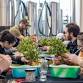 Bonsai Bar Workshop at Sanitas Brewing Company ... event in Englewood, CO