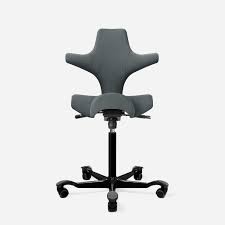 We did not find results for: Capisco Ergonomic Office Chair Fully
