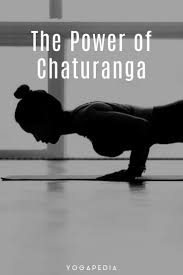 The Power Of Chaturanga Become A Yoga Instructor Ashtanga Vinyasa Yoga Yoga Moves
