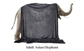 Maybe you would like to learn more about one of these? Amazon Com Big Blanket Co Original Stretch Crimson 10 X 10 Extra Large Throw Blanket Soft Cozy Outdoor Blanket For Summer And Giant Picnic Blanket Machine Washable Temperature Regulating