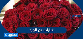 صور خلفيات اسم الله عز وجل 2021. Ø¹Ø¨Ø§Ø±Ø§Øª Ø¹Ù† Ø§Ù„ÙˆØ±Ø¯ Ø£Ø¬Ù…Ù„ Ø§Ù„ÙƒÙ„Ù…Ø§Øª Ø¹Ù† Ø§Ù„ÙˆØ±ÙˆØ¯ ÙˆØ§Ù„Ø§Ø²Ù‡Ø§Ø± Ù…ÙˆÙ‚Ø¹ Ù…Ø­ØªÙˆÙŠØ§Øª