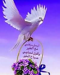 اللهم يارافع السماء يامصرف البلاء ياقابل الدعاء ياسخي العطاء ياكاشف الغطاء اللهم كما جعلت المودة نورا تنير القلوب وجعلت التوبة طريقا لمحو الذن bonjour