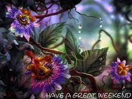 Have A Great Weekend Digital Flowers Orchid Wallpaper Flower Art