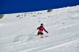 Book your powder ski trip today! How To Choose Skis Tips For Finding The Right Pair Bearfoot Theory