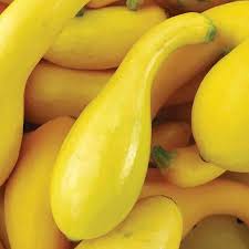 Cut into thin strips, summer squash plays the part of pasta pretty convincingly. Squash Seeds Dixie Hybrid Ferry Morse Home Gardening 202 S Washington St Norton Ma 02766