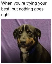 No vicky, you're the best! 2meirl4meirl R 2meirl4meirl 2meirl4meirl Know Your Meme