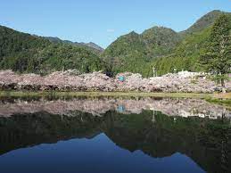 花見散歩 奈良ドライブ 吉野郡下市町 中途半端な旅の記録とみのまわり 旅 奈良 奈良 旅行