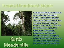 The emergent layer, the canopy layer, the understory and the forest floor. A Tropical Rainforest Is Defined As An Area Located 28 Degrees North Or South Of The Equator They Can Be Found In Asia Africa Australia South And Central Ppt Download