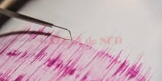 Image result for seismograf