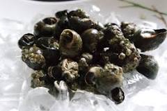 Are periwinkles good for you?