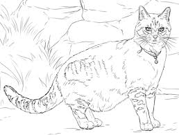 Free printable cat coloring pages for kids. Pin On Coloring Pages Cats And Kittens