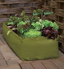 Haxnicks Gemuse Hochbeet Pflanztasche Auf Der Terrasse Small Image Gemuse Anbauen Gemuse Pflanzen Pflanzen