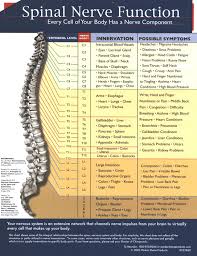 Spine Nerve Chart Symptoms Best Picture Of Chart Anyimage Org