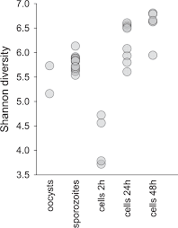Cryptosporidium parvum is one of several protozoal species that cause cryptosporidiosis, a parasitic disease of the mammalian intestinal tract. The Transcriptome Of Cryptosporidium Oocysts And Intracellular Stages Scientific Reports