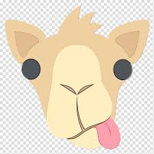 Cat And Dog Whiskers Lion Snout Tail Cartoon Hyena Nose Transparent Background Png Clipart Hiclipart Wild animals flat polygonal icons set. cat and dog whiskers lion snout