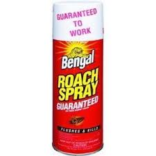 How does bug killer spray work? Snapwant Com Kill Roaches Roach Spray Kills Ants