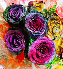 Symbol Of Love Beautiful Roses Rose Beautiful Roses Love Symbols