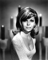 Pin By Alexander Gotze On Nancy Sinatra Nancy Sinatra Sinatra Portrait