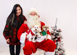 It's a relatable mood that was communicated. Holiday Photoshoot For Your Dog Dog512