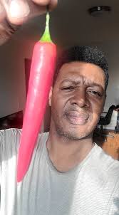 Growing Holland Finger Hot Pepper with germination issues