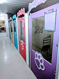 Check spelling or type a new query. Mugu S Pet Resort Where The Cool Dogs Hang Out