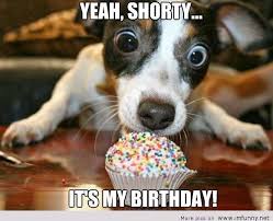 Check spelling or type a new query. 30 Happy Birthday Memes For Your Best Friend Ultima Status