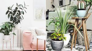 Desde las hortensias hasta la azalea. Decorablog Revista De Decoracion