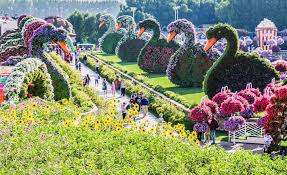 Dubai Miracle Garden Welcome To The World S Largest Flower Garden Miracle Garden Flower Garden Images Million Flowers