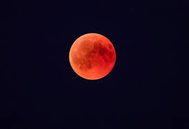 Chandra grahan 2020 dates and time in odisha according to odia panji. Lunar Eclipse 2021 Date Check Super Moon Chandra Grahan Timings Who Can See Lunar Eclipse On May 26