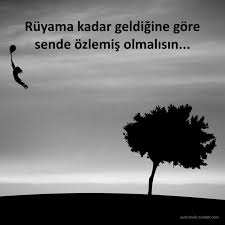 Ruyama Kadar Geldigine Gore Sende Ozlemis Olmalisin Sozler Anlamlisozler Guzelsozler Ozlusozler Alinti Alintilar Alin Ozlu Sozler Guzel Soz Deyisler