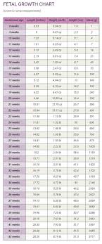 Prototypal Fetal Measurement Growth Chart Crl Measurements