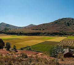 Despite having considerable natural resources, madagascar has among the highest poverty rates in the world. Madagascar Eld Initiative