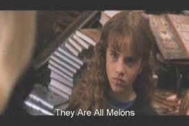Timothée chalamet, emma watson, saoirse ronan and others. These Bootleg Chinese Subtitles For Harry Potter Movies Are Absolutely Hilarious Harry Potter Movies Subtitled Harry Potter