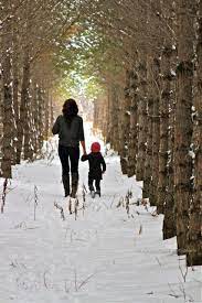 Family Photo Photography Winter Woods Walk Mother Mom Daughter Toddler Girl Beautiful Outs Winter Photography Winter Family Pictures Winter Pictures