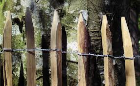 • cedar offers natural beauty, whether you choose to stain it or leave it natural. Wood Fence Pole Wooden Free Photo On Pixabay