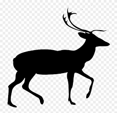 Check spelling or type a new query. Vector Free Library Buck And Doe Clipart Mouse Deer Silhouette Png Transparent Png 176597 Pinclipart
