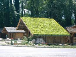 Verdura Toiture Vegetale Couverture Eternit Fr Eternit Toiture Vegetalisee Toiture Toit Vert