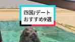 四国でキャンピングカー旅行：おすすめのスポットとレンタカー情報