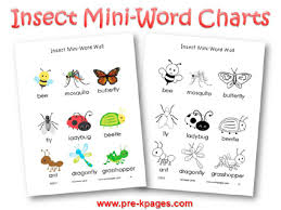 bugs and insects theme activities in preschool