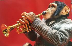 Trumpet Monkey Monkey Pictures Monkeys Funny Barrel Of Monkeys