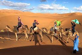 Riding a camel is a unique experience and where better to do it than in the authentic setting that is the desert. What No One Told Me About Riding A Camel In The Sahara Desert Oyster Com
