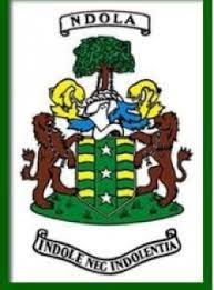 Image result for Entandrophragma delevoyi