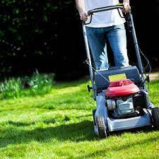 7 Secrets That Show You How To Get A Better Lawn