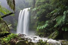 1000 Kata Kata Tentang Alam Gunung Pantai Hutan Lengkap