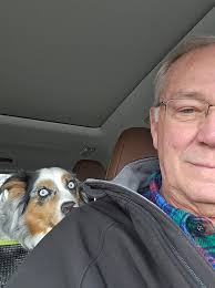 Angel's Aussies www.angelsaussies.com