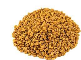 The production of fenugreek in india is marked by its dominant position in world production and export. Fenugreek Cultivation Information Guide Asia Farming
