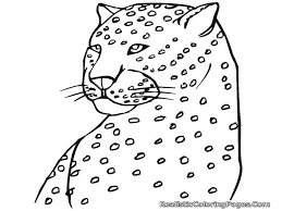 It is a member of the felid family, like the panthers, and its skin recognizes it and because it hunts at high speed. Baby Cheetah Coloring Pages