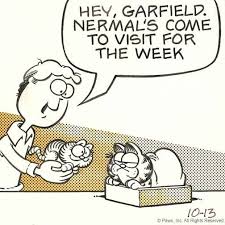 Garfield Meets Nermal 10 13 80 Garfield And Odie Garfield Kids Shows